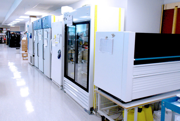 Center for Disease Control